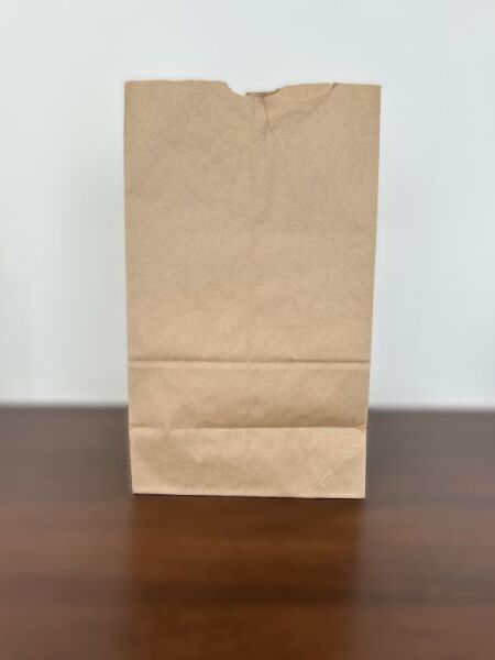 DD50 Brown Grocery Bag  
